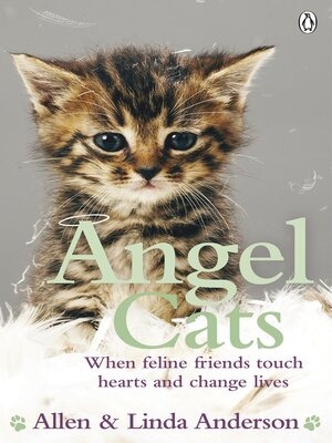 cover image of Angel Cats